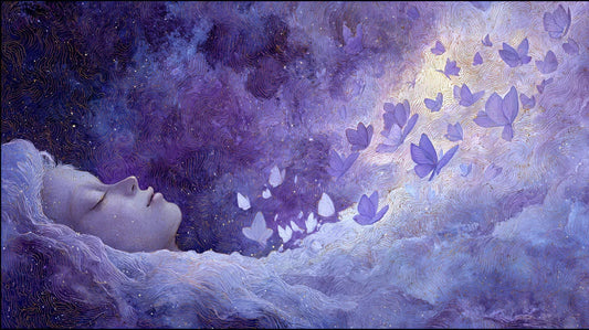 《捕梦手记：如何为你的“魂梦蝶”建造一座“栖息地”》