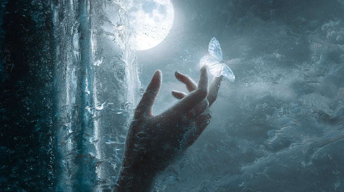 《一篇，关于“捕梦”的意外实录》