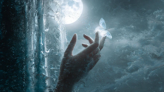 《一篇，关于“捕梦”的意外实录》