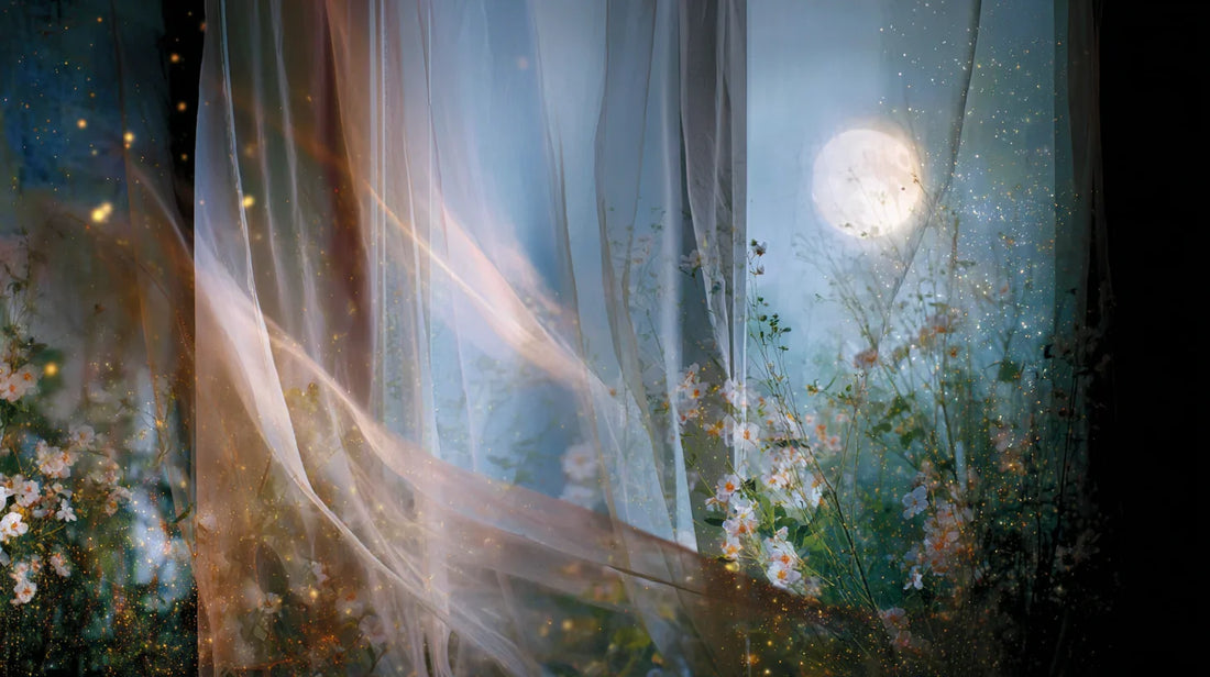 《美学策展：一场半透明的夏夜之梦》