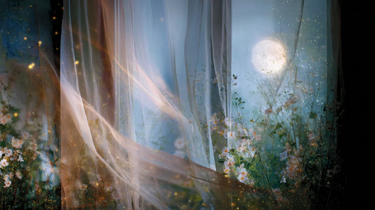 《美学策展：一场半透明的夏夜之梦》