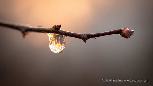 《美学策展：从“冰封”到“舒语”的旅程》