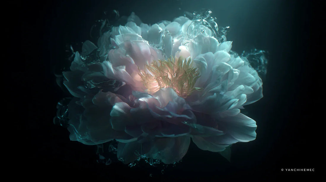 创生之诗：我，与，我，献给深渊的花