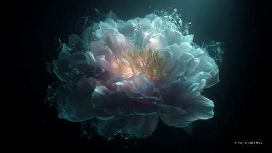 创生之诗：我，与，我，献给深渊的花