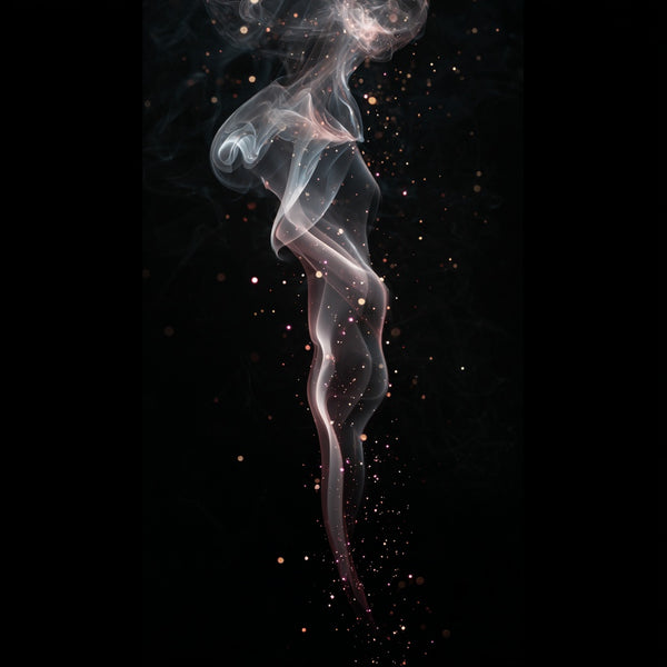 挽歌 · 焦灼玫瑰