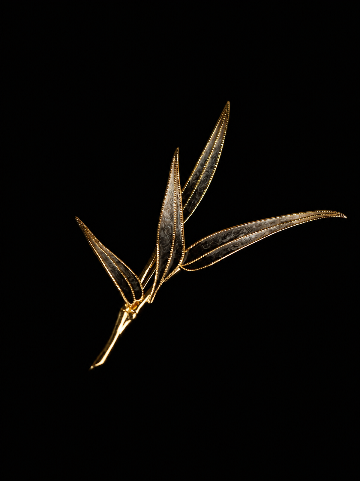Lingchi Bamboo · Absolute Autopsy