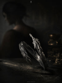 Shackles of the Broken Wing