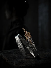 Shackles of the Broken Wing