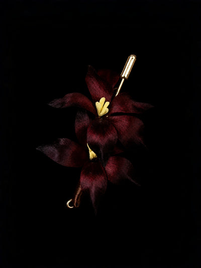 The Coagulated Embers