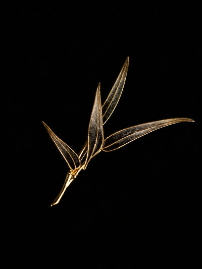 Lingchi Bamboo · Absolute Autopsy