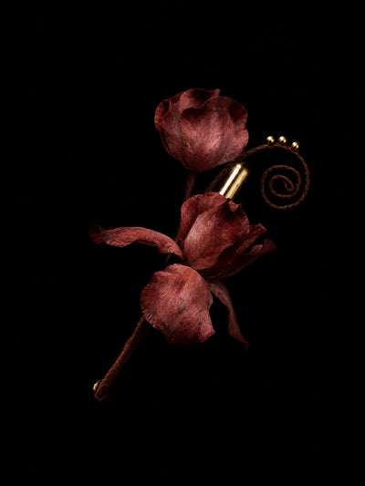 Drained Ventricle · Silent Devouring